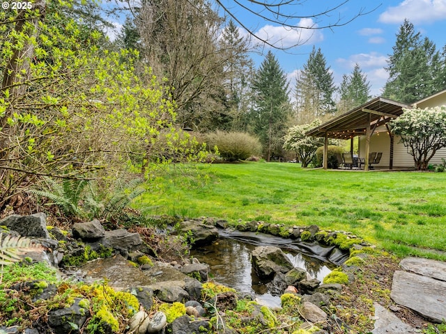 view of yard featuring a patio area