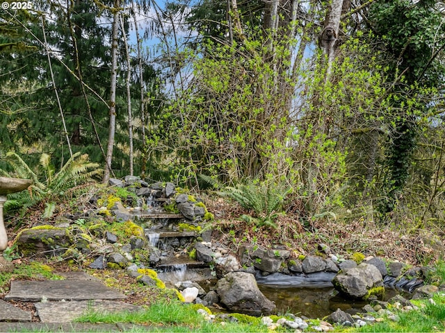 view of nature