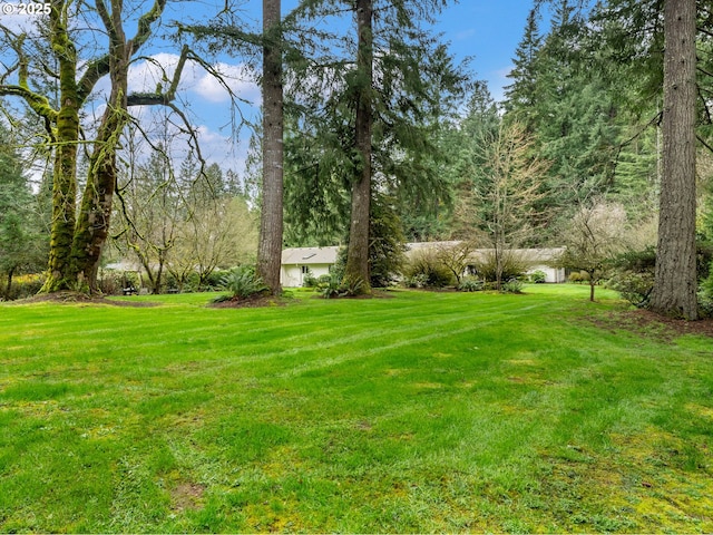 view of yard