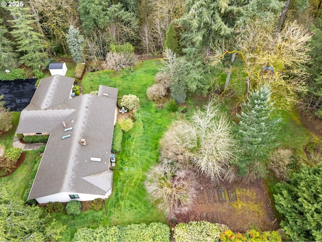 bird's eye view