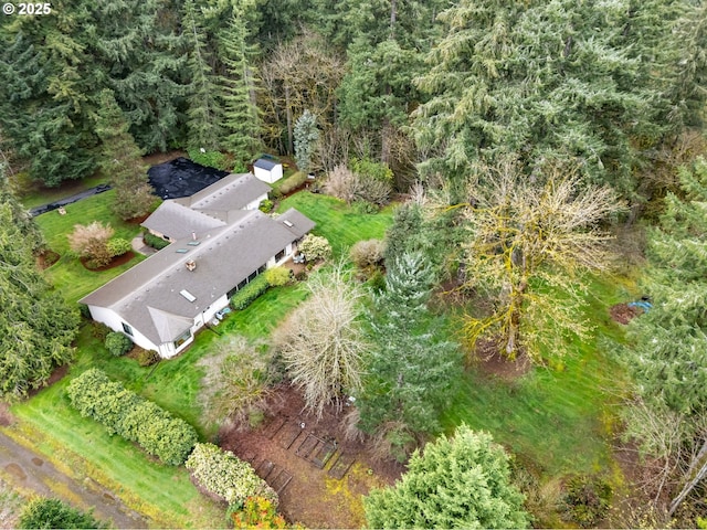 drone / aerial view