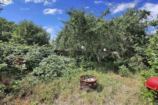 1168 Risden Pl, Eugene, OR 97404 - view of yard