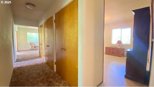 hall with carpet floors
