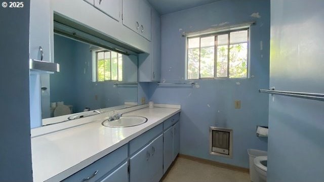 bathroom with toilet and vanity