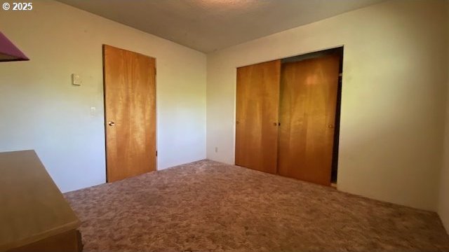 unfurnished bedroom with a closet and carpet