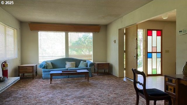 interior space with a healthy amount of sunlight and carpet
