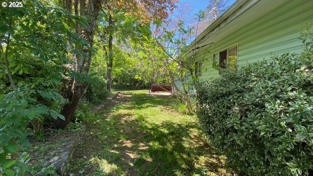 view of yard