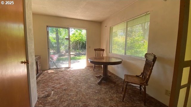 carpeted dining area featuring a textured ceiling