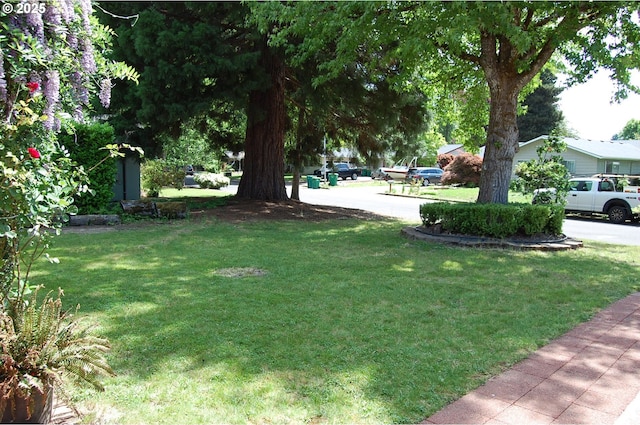 3024 Concord Way, Forest Grove, OR 97116 - view of green lawn