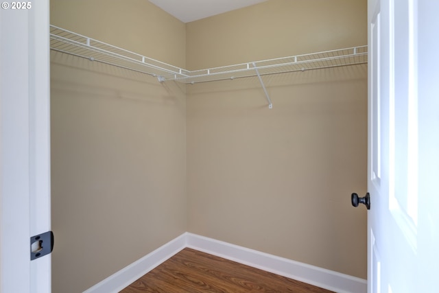 spacious closet with dark wood-style floors