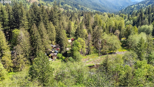 drone / aerial view of a heavily wooded area and a mountainous background