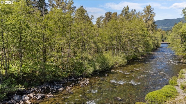 water view featuring a heavily wooded area and a mountain backdrop