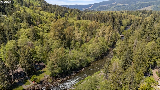 mountain view with a heavily wooded area