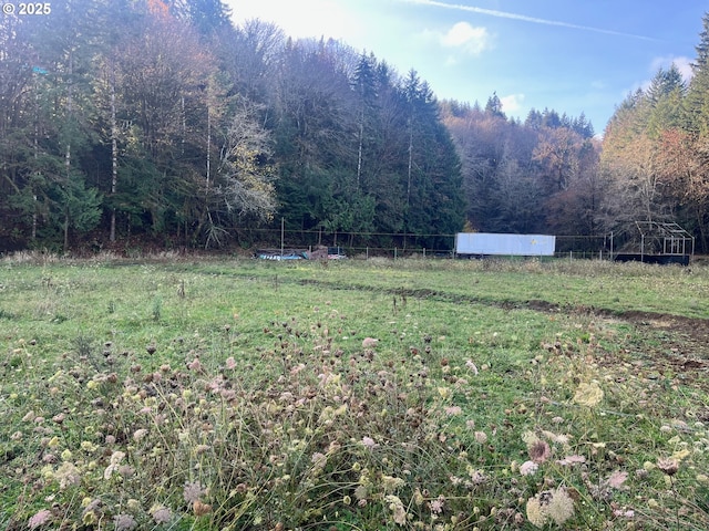 865 E Columbia River Hwy, Clatskanie, OR 97016 - view of yard with a forest view