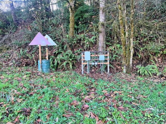865 E Columbia River Hwy, Clatskanie, OR 97016 - view of yard