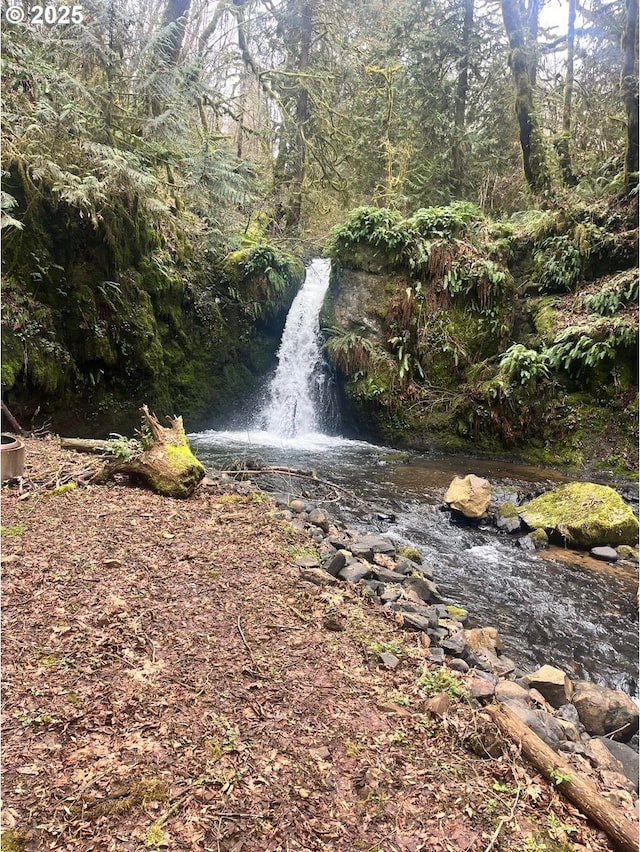 865 E Columbia River Hwy, Clatskanie, OR 97016 - water view with a heavily wooded area