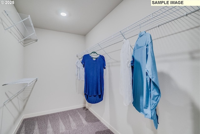 9388 SW Vermillion Dr Unit H235, Tualatin, OR 97062 - spacious closet featuring carpet flooring