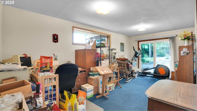 interior space featuring carpet