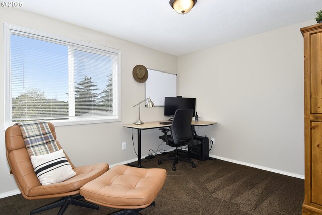 carpeted office space with baseboards