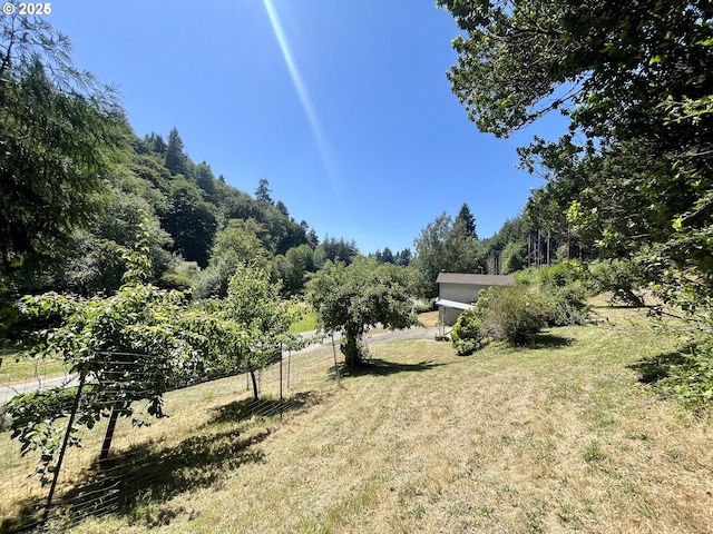 96343 Coos-Sumner Ln, Coos Bay, OR 97420 - view of green lawn