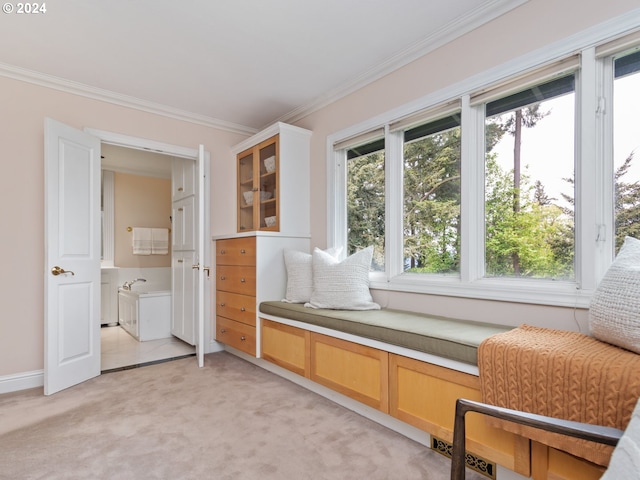 unfurnished room with crown molding and light carpet