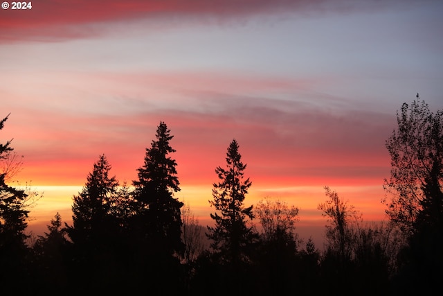 view of nature at dusk