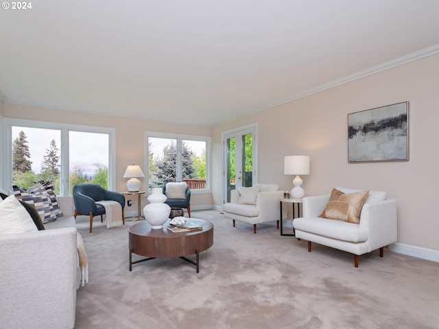 carpeted living room featuring crown molding