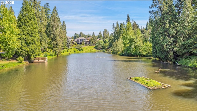 2672 SE Vista Way, Gresham, OR 97080 - water view