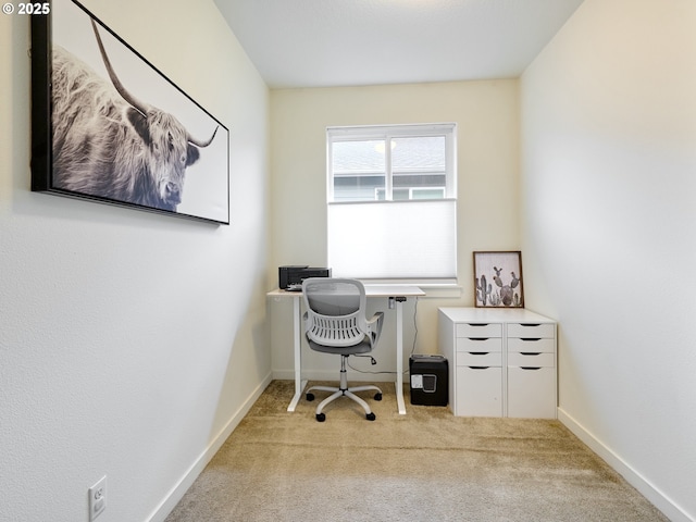 home office with light colored carpet and baseboards