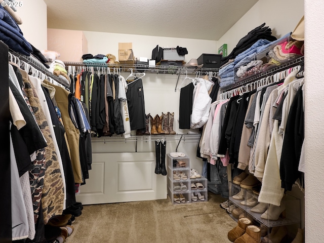 walk in closet with carpet