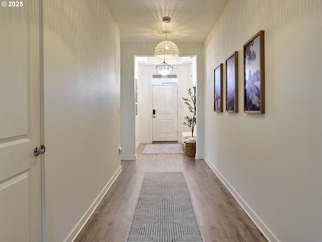 doorway to outside with hardwood / wood-style flooring