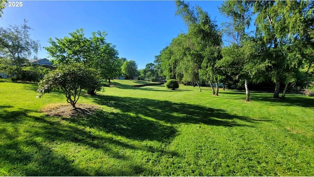 surrounding community with a lawn