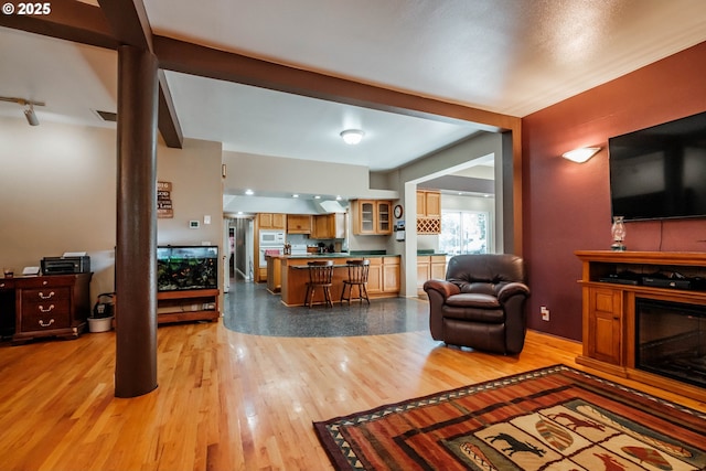 living room featuring light wood-type flooring