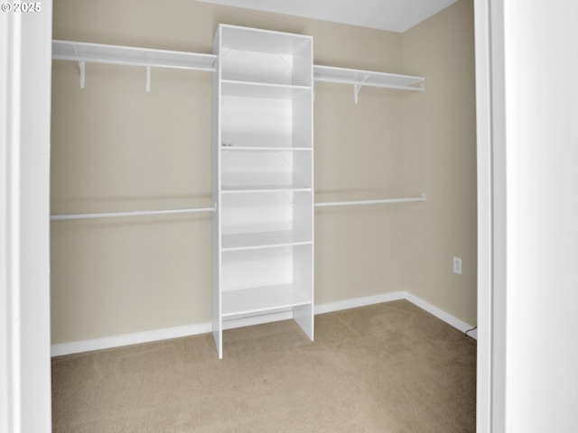 walk in closet with carpet flooring