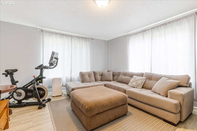 21600 NE Forest Dr, Yamhill, OR 97148 - living room featuring light wood-type flooring and plenty of natural light