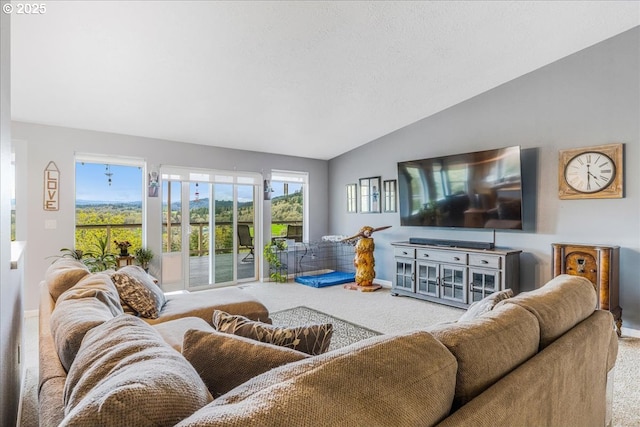 21600 NE Forest Dr, Yamhill, OR 97148 - living room featuring carpet, lofted ceiling, and baseboards