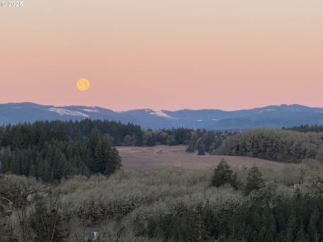 21600 NE Forest Dr, Yamhill, OR 97148 - mountain view with a forest