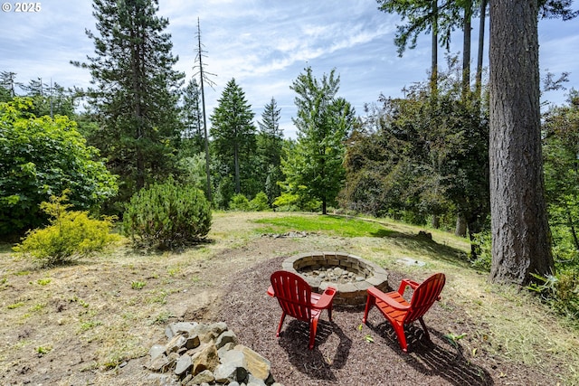 32518 Dillard Rd, Eugene, OR 97405 - view of yard with an outdoor fire pit