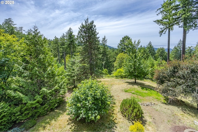 32518 Dillard Rd, Eugene, OR 97405 - view of woods