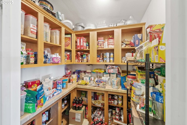 view of pantry