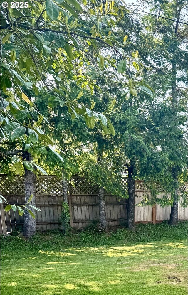 2440 Pine St, Seaside, OR 97138 - view of yard
