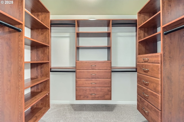 spacious closet featuring carpet floors