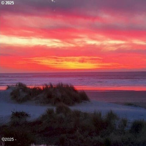 88416 1st Ave Unit 402, Florence, OR 97439 - water view