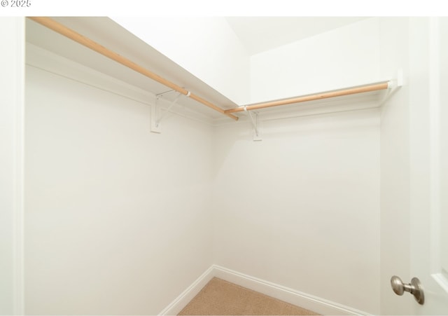 621 NE Randall Ave, Portland, OR 97232 - walk in closet featuring light colored carpet