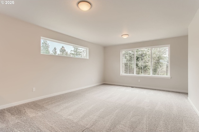 unfurnished room with carpet floors and plenty of natural light