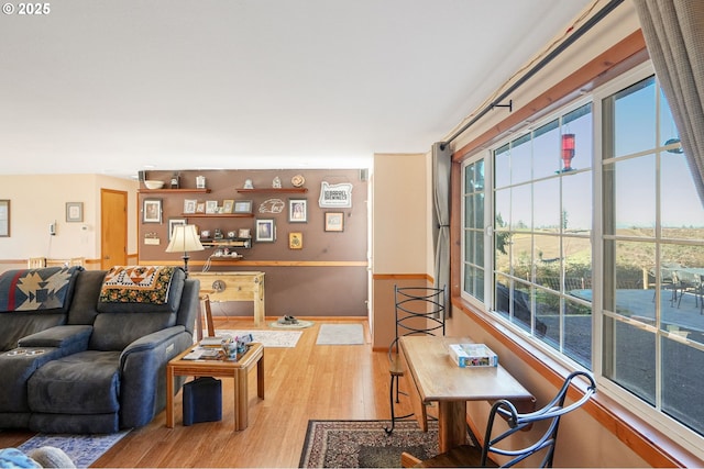 living room with wood-type flooring