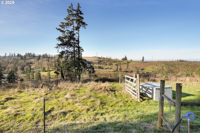 view of yard with a rural view