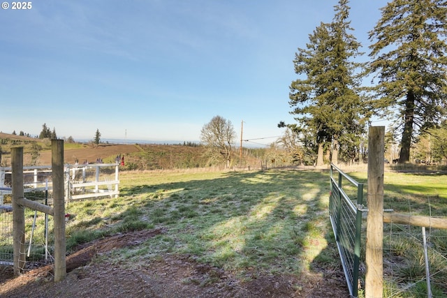 view of yard featuring a rural view