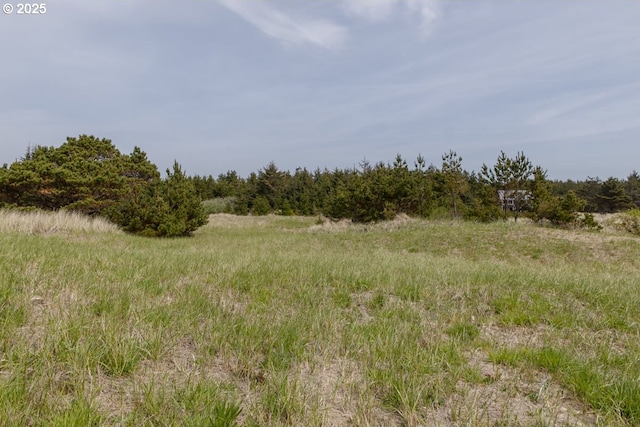 11119 Pacific Way, Long Beach, WA 98631
