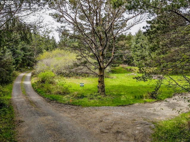11119 Pacific Way, Long Beach, WA 98631